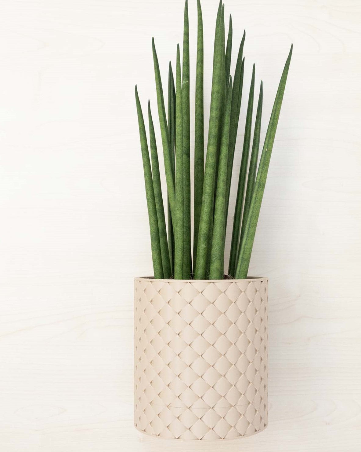 Blumentopf 3D, Gestepptes Design
