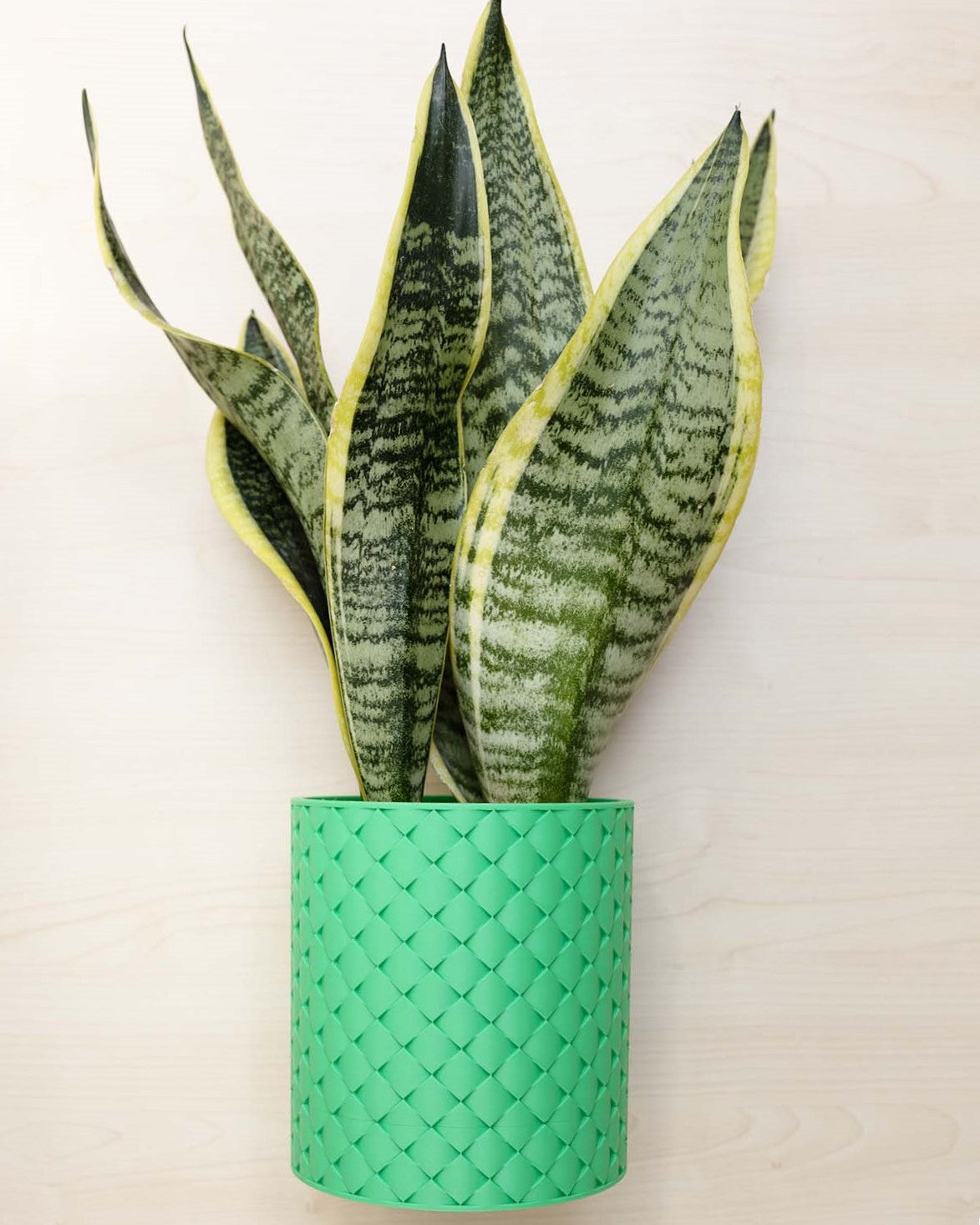 Blumentopf 3D, Gestepptes Design