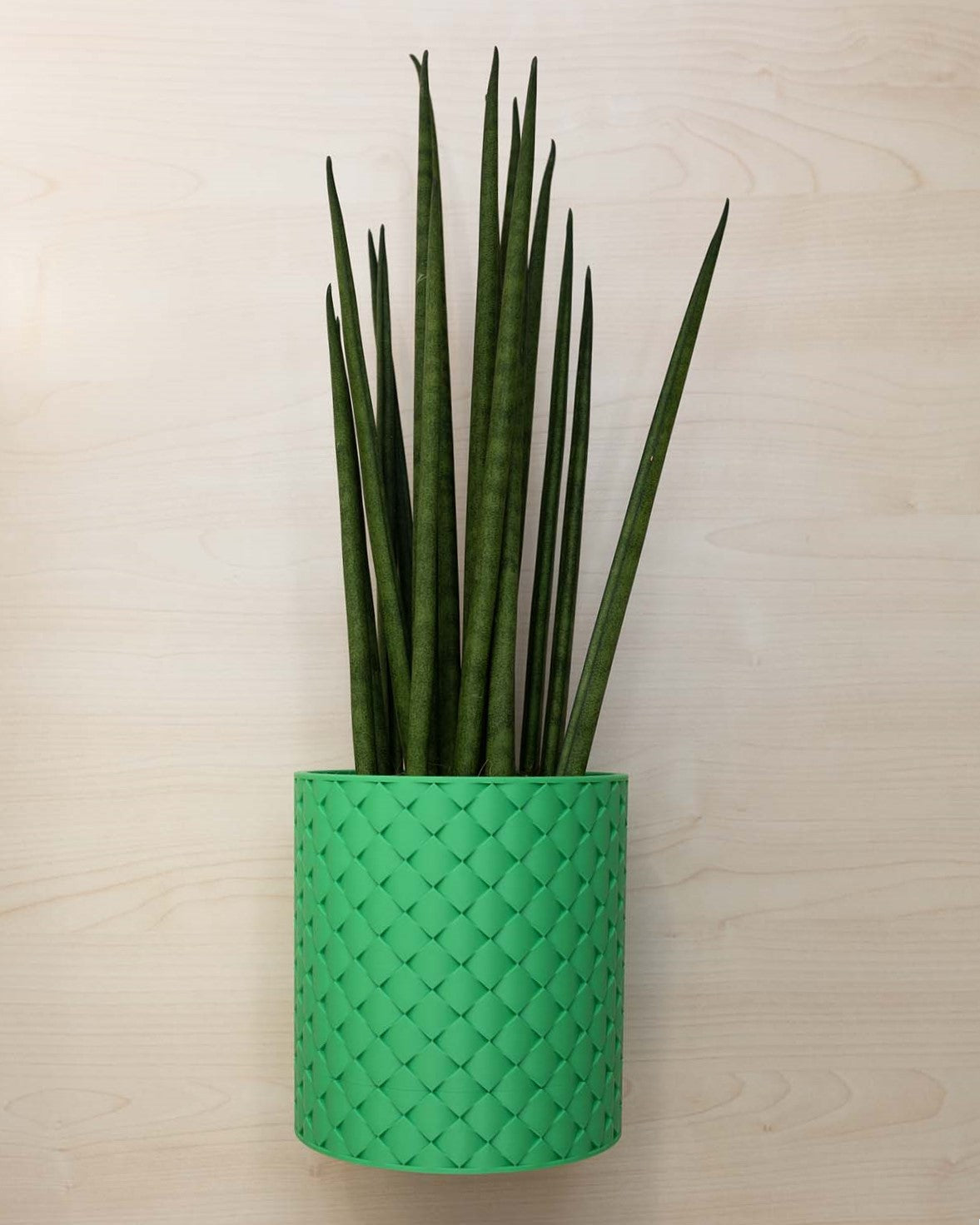 Blumentopf 3D, Gestepptes Design