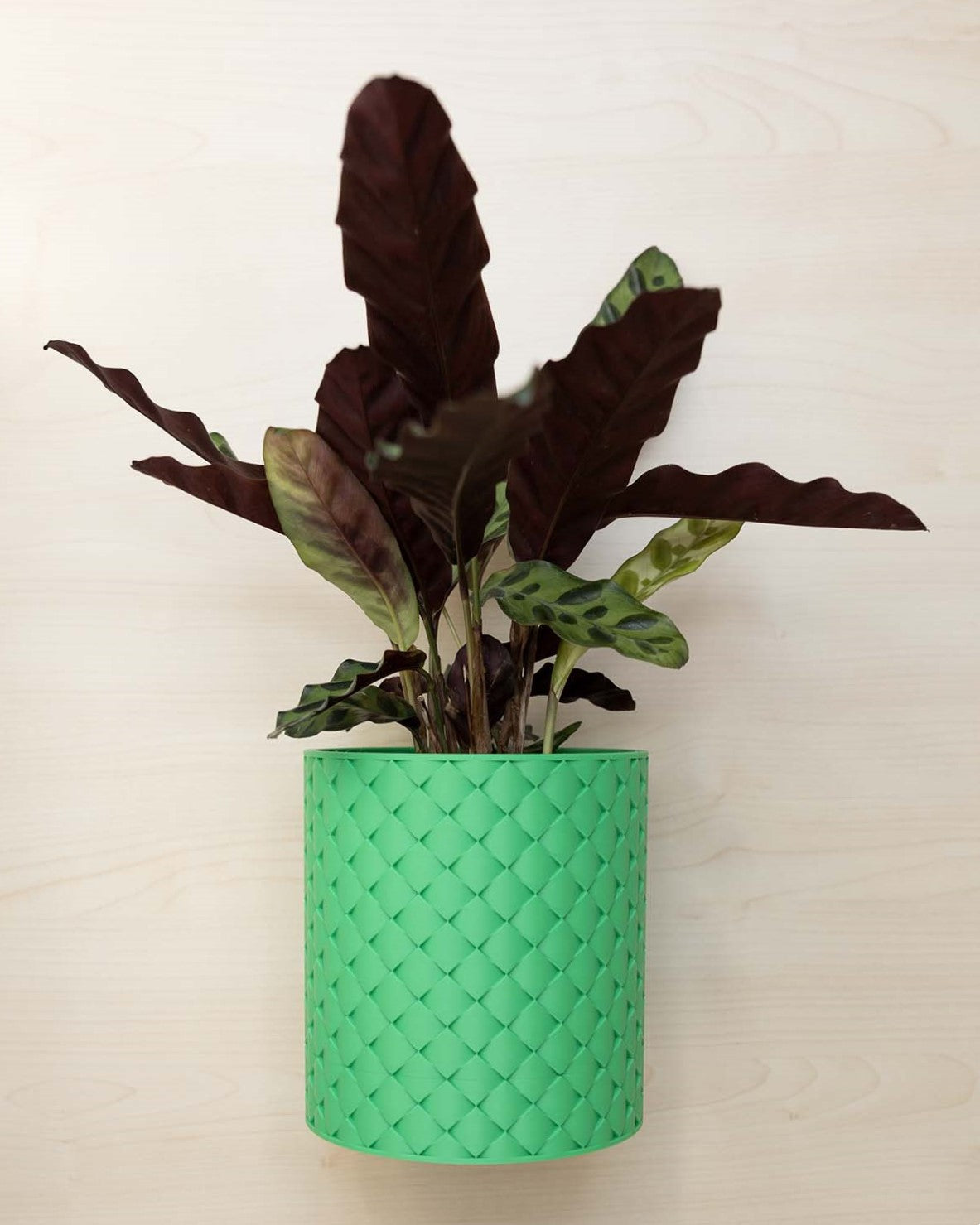 Blumentopf 3D, Gestepptes Design