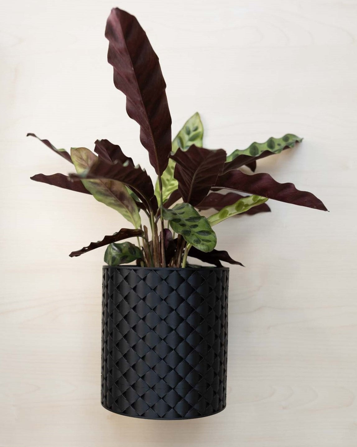 Blumentopf 3D, Gestepptes Design