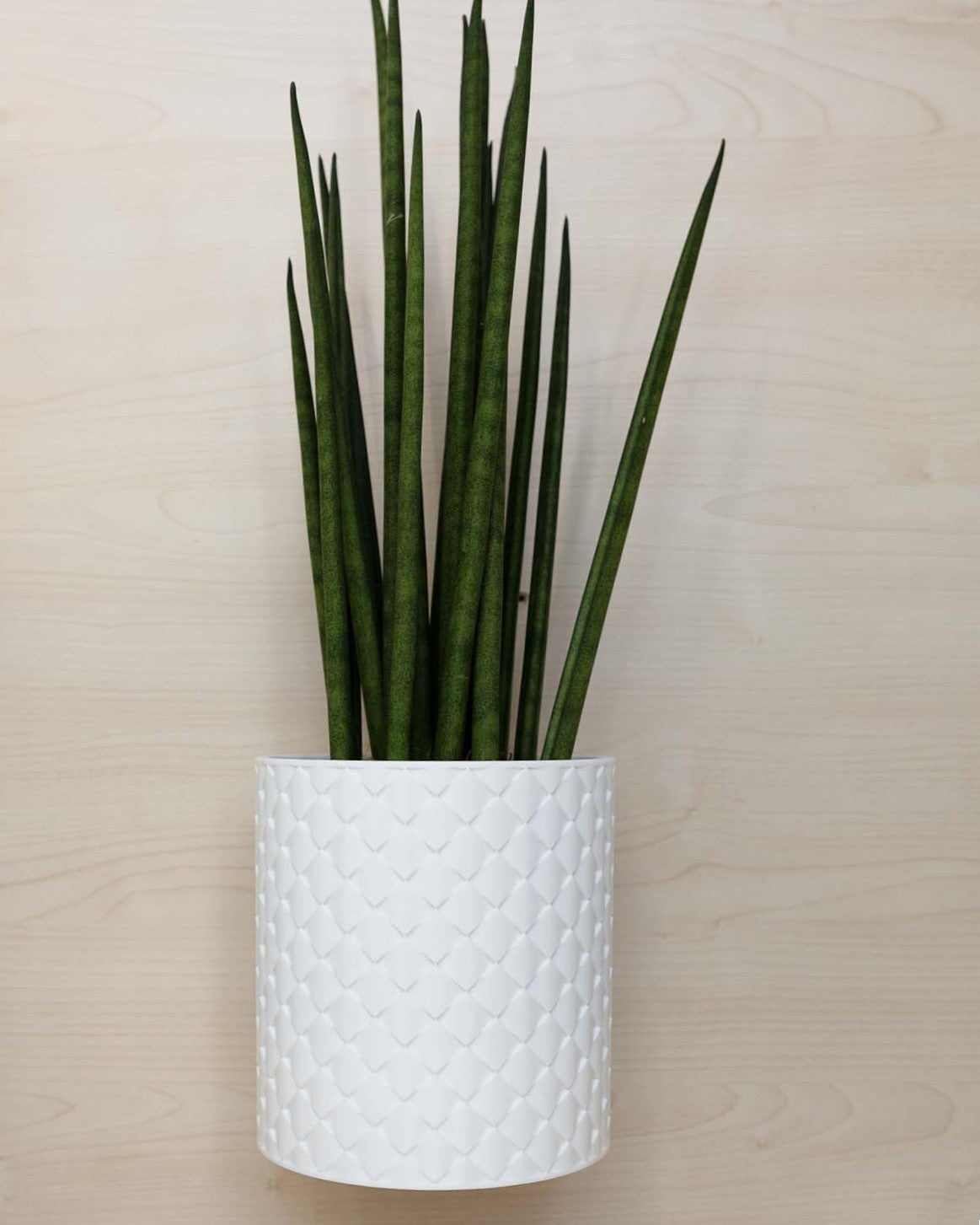 Blumentopf 3D, Gestepptes Design