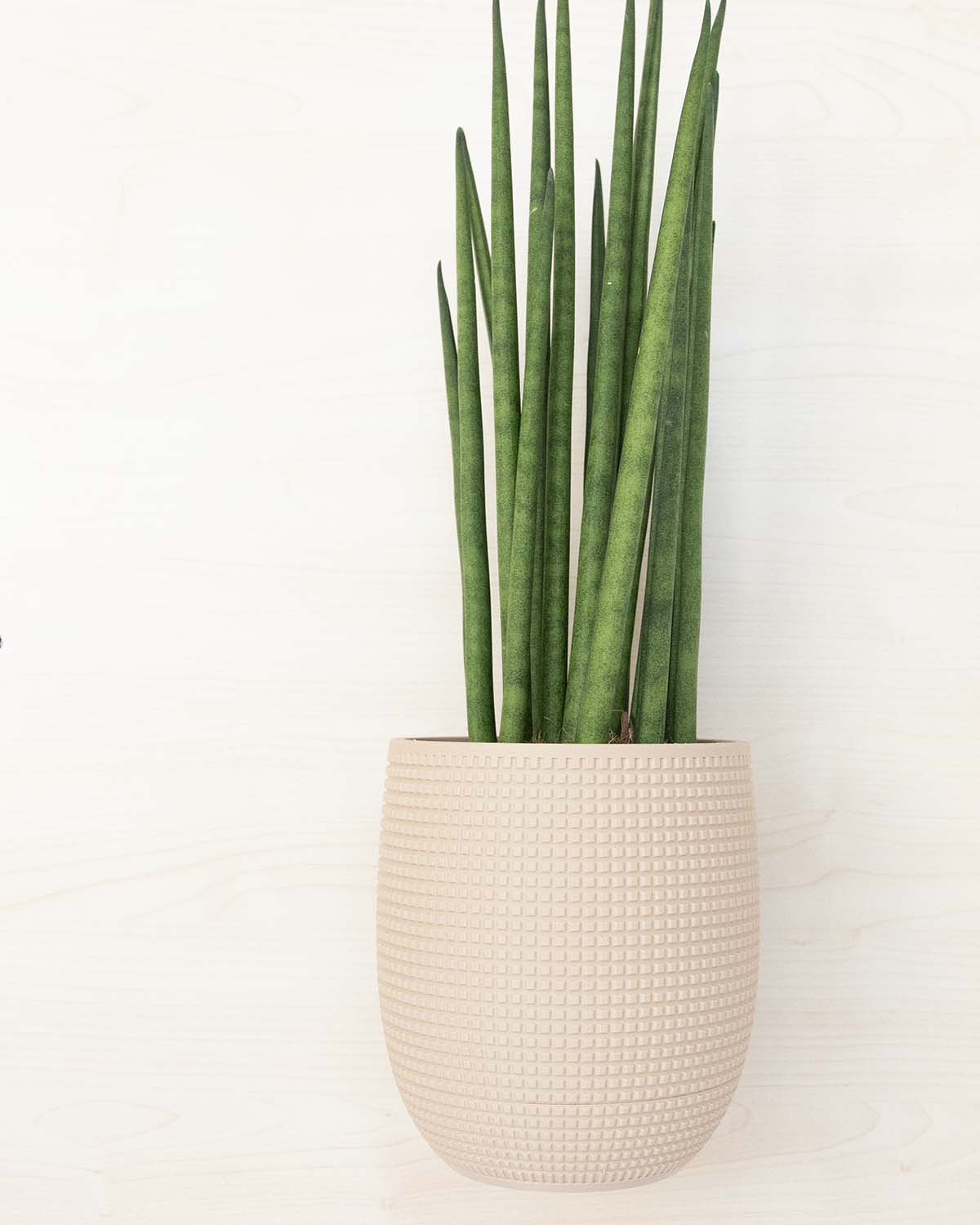Blumentopf 3D, Das Grid