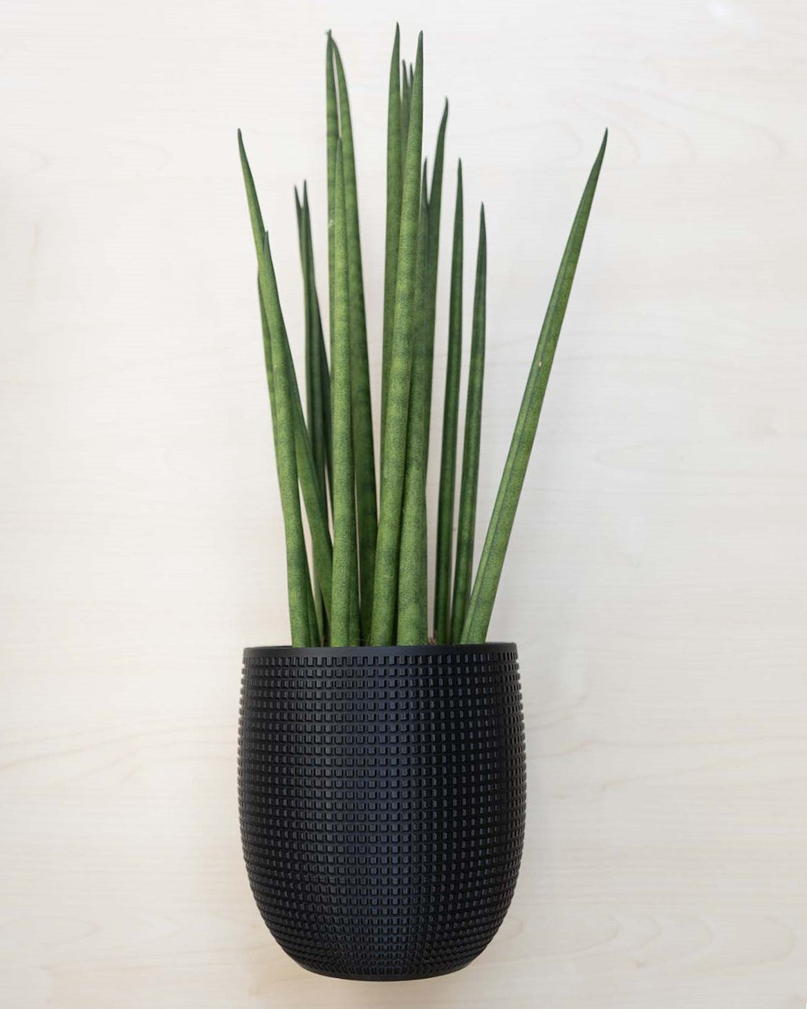 Blumentopf 3D, Das Grid
