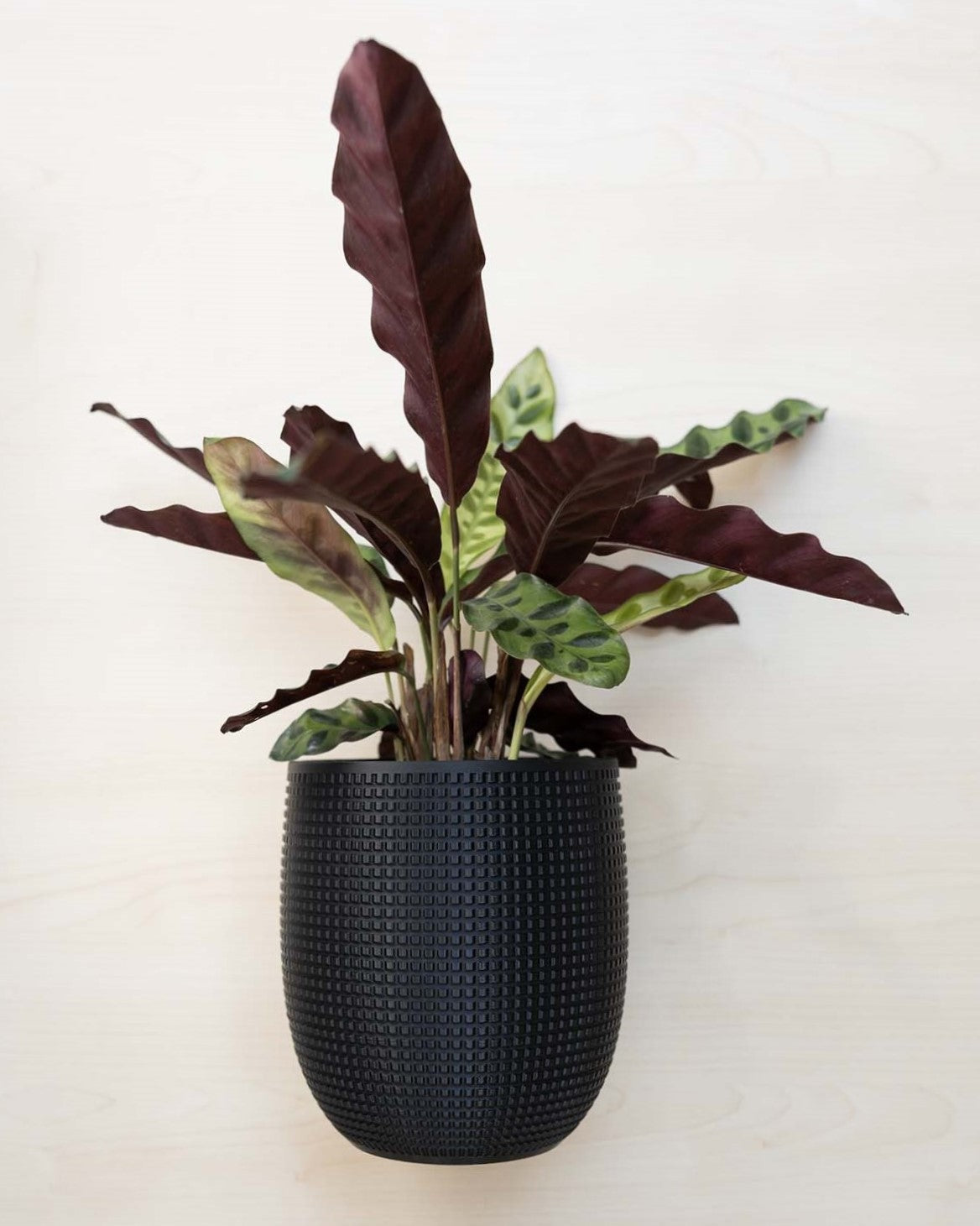 Blumentopf 3D, Das Grid