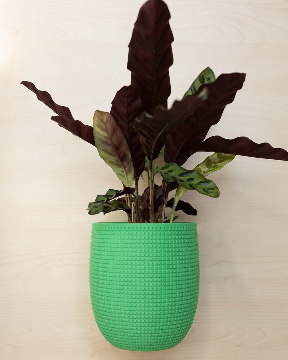 Blumentopf 3D, Das Grid