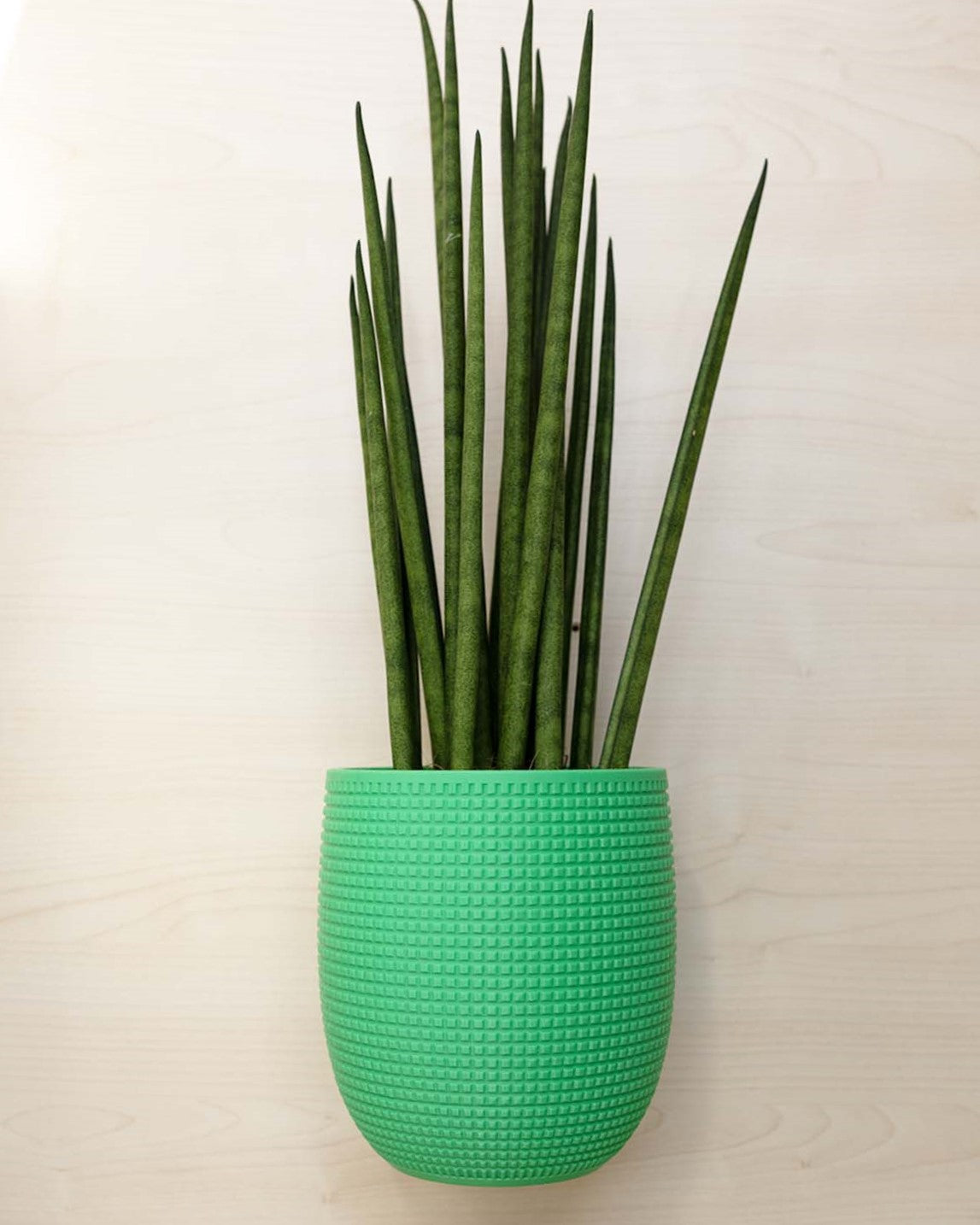 Blumentopf 3D, Das Grid