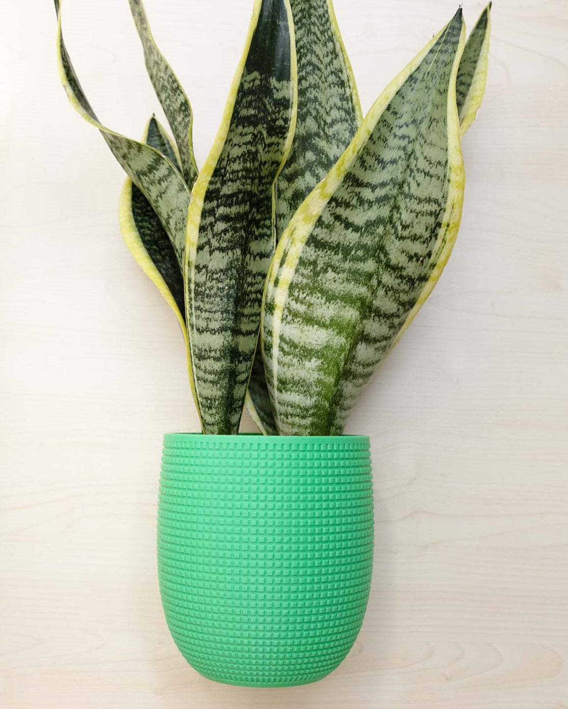 Blumentopf 3D, Das Grid