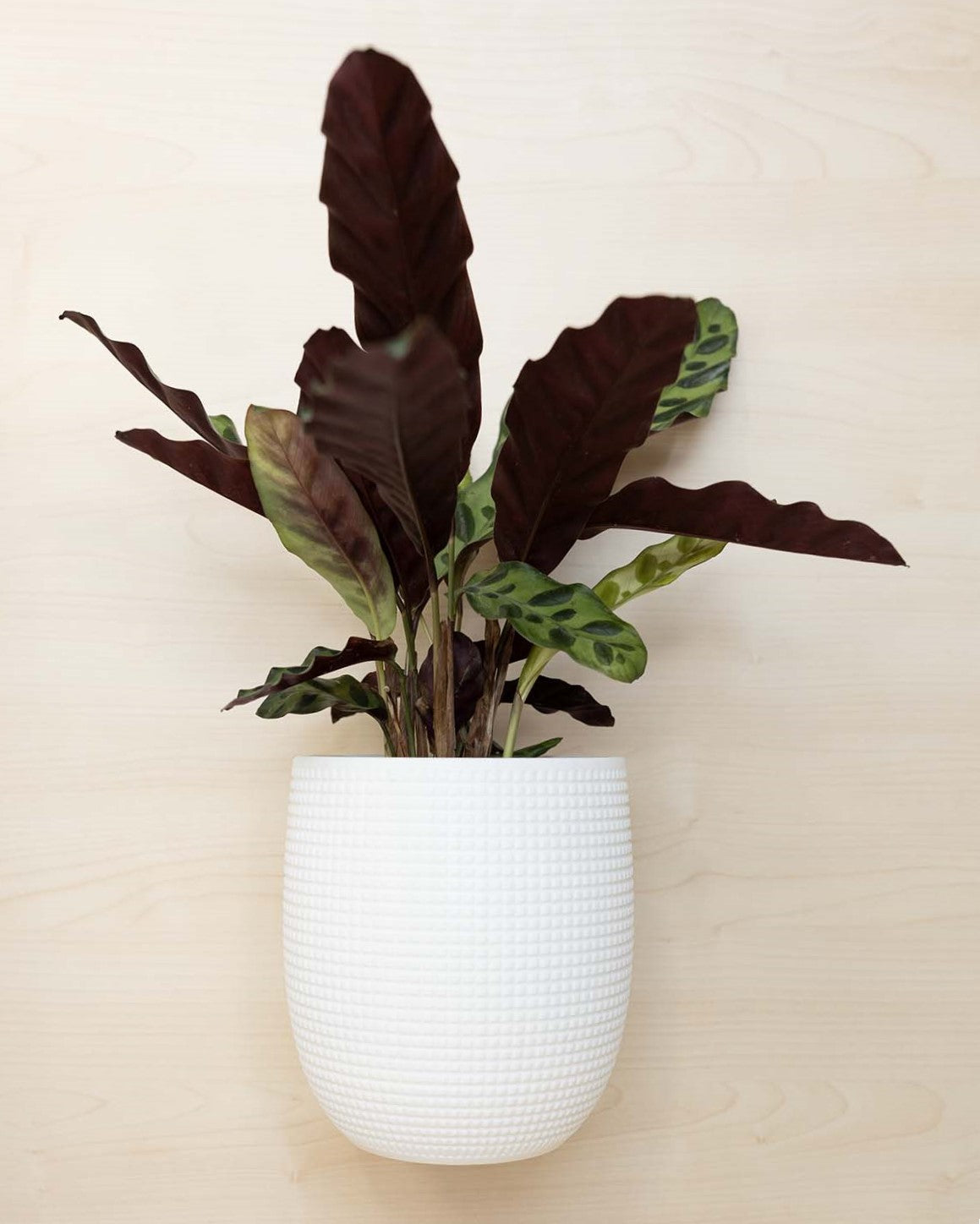 Blumentopf 3D, Das Grid