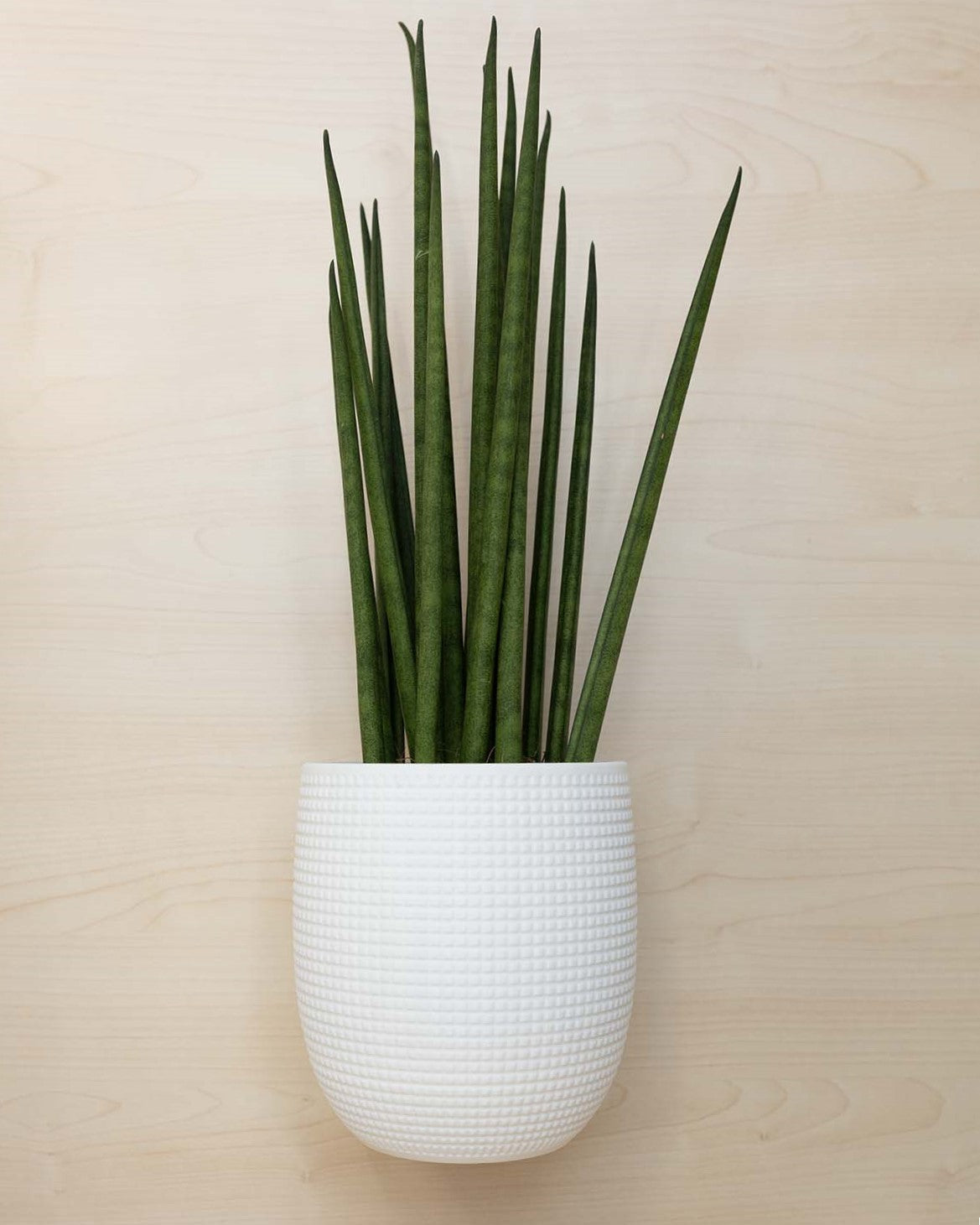 Blumentopf 3D, Das Grid