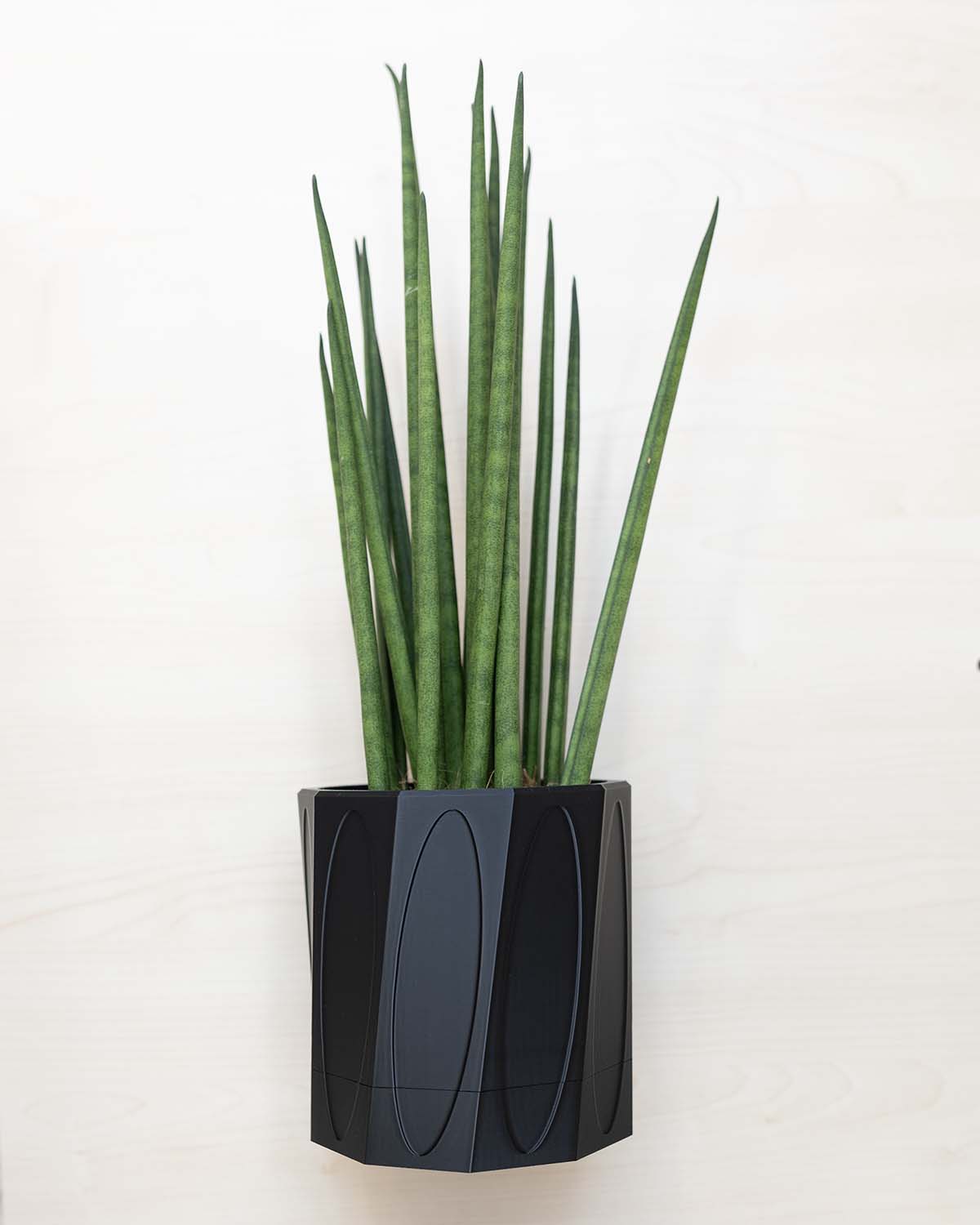 Wall Planter With Hidden Drip Tray