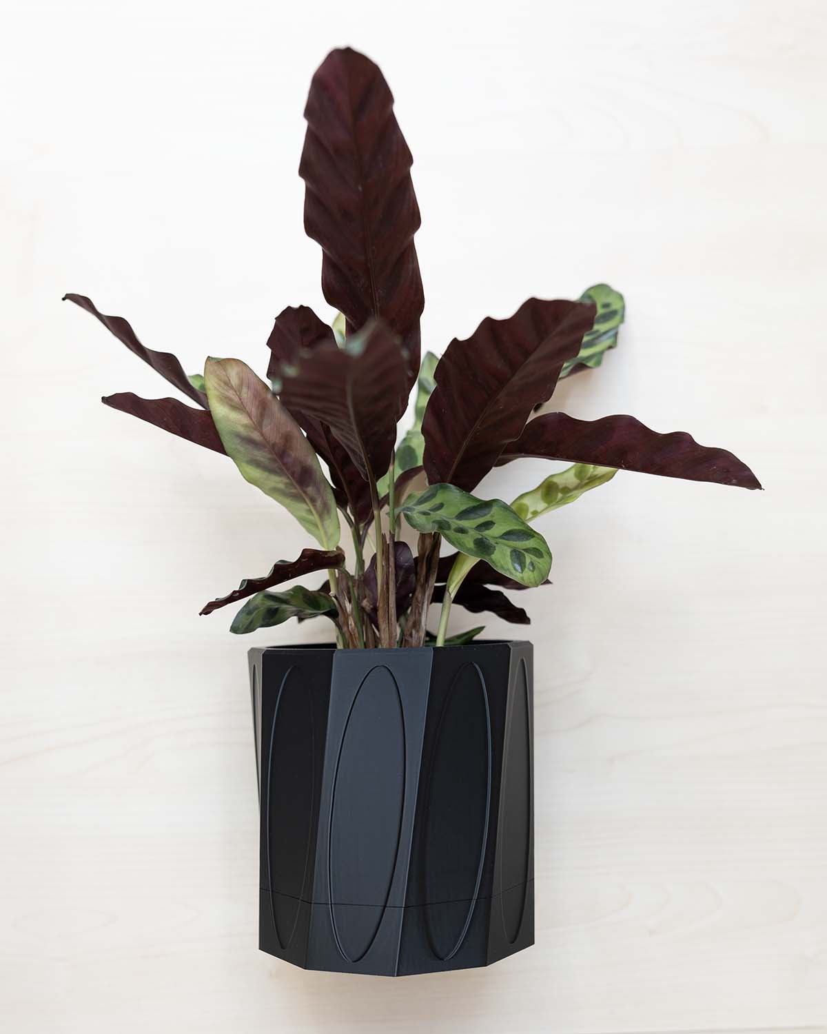 Wall Planter With Hidden Drip Tray