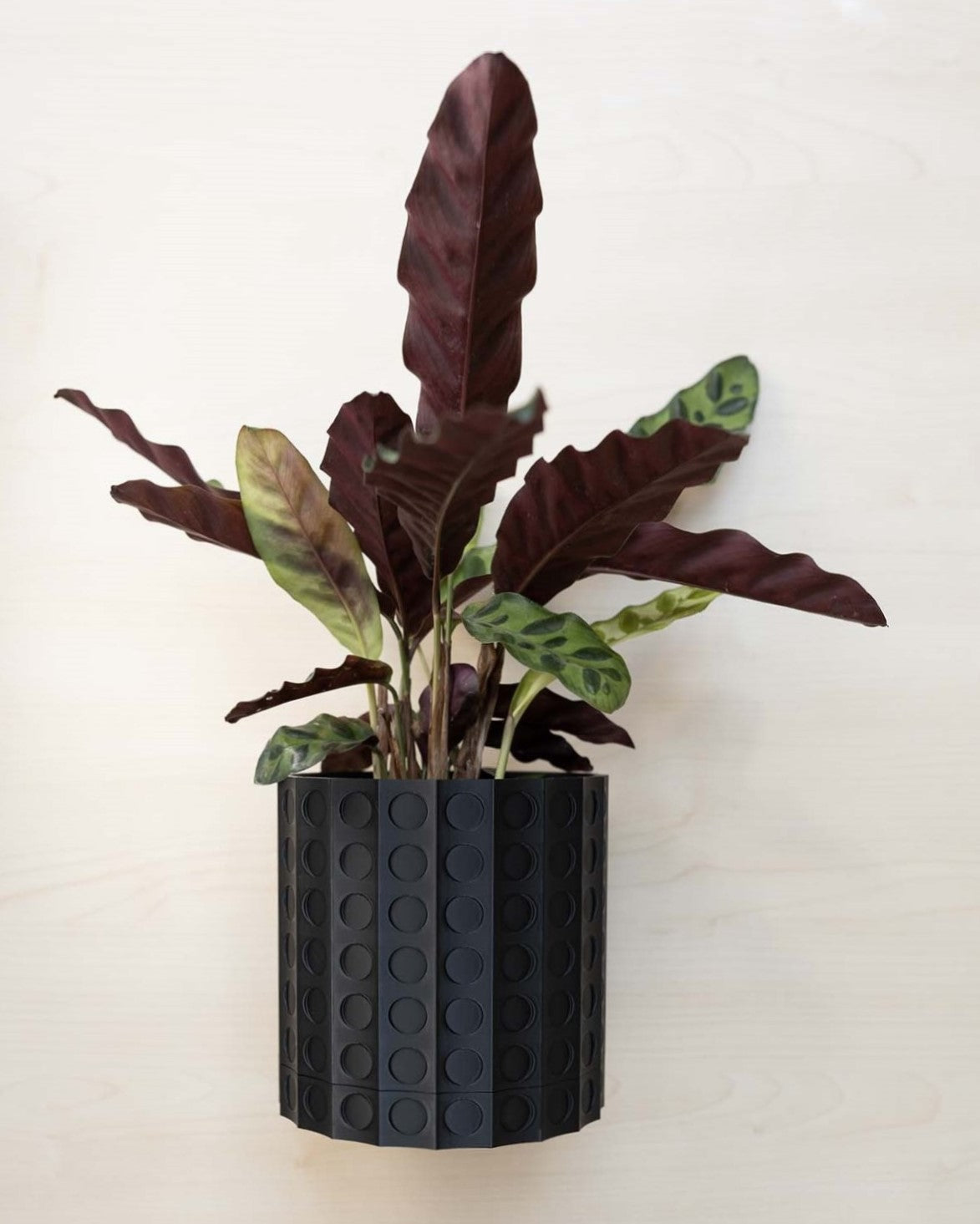 Wall Planter - 3D Printed: The Heywood