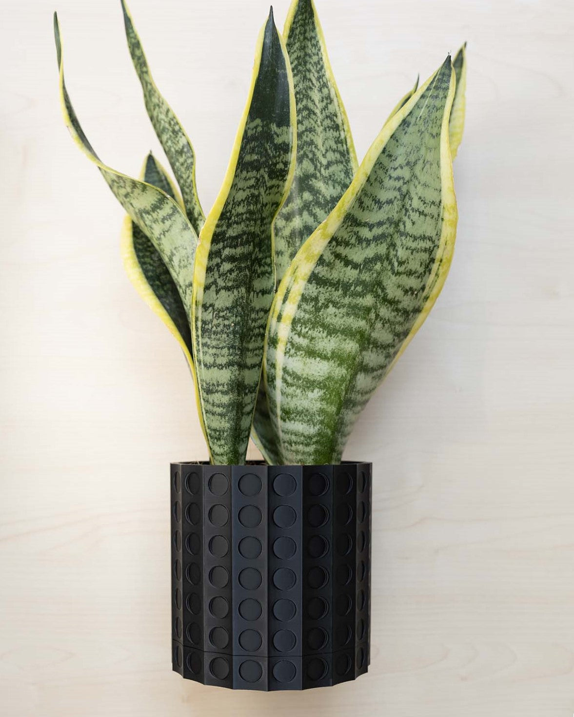 Wall Planter - 3D Printed: The Heywood