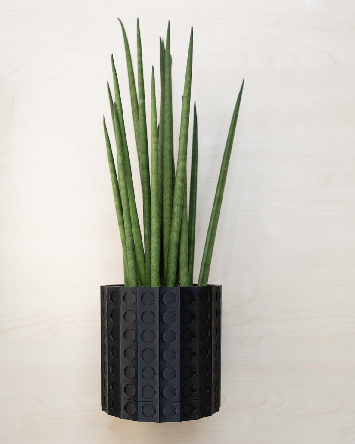 Wall Planter - 3D Printed: The Heywood