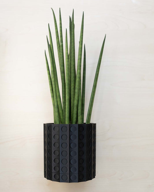 Wall Planter - 3D Printed: The Heywood