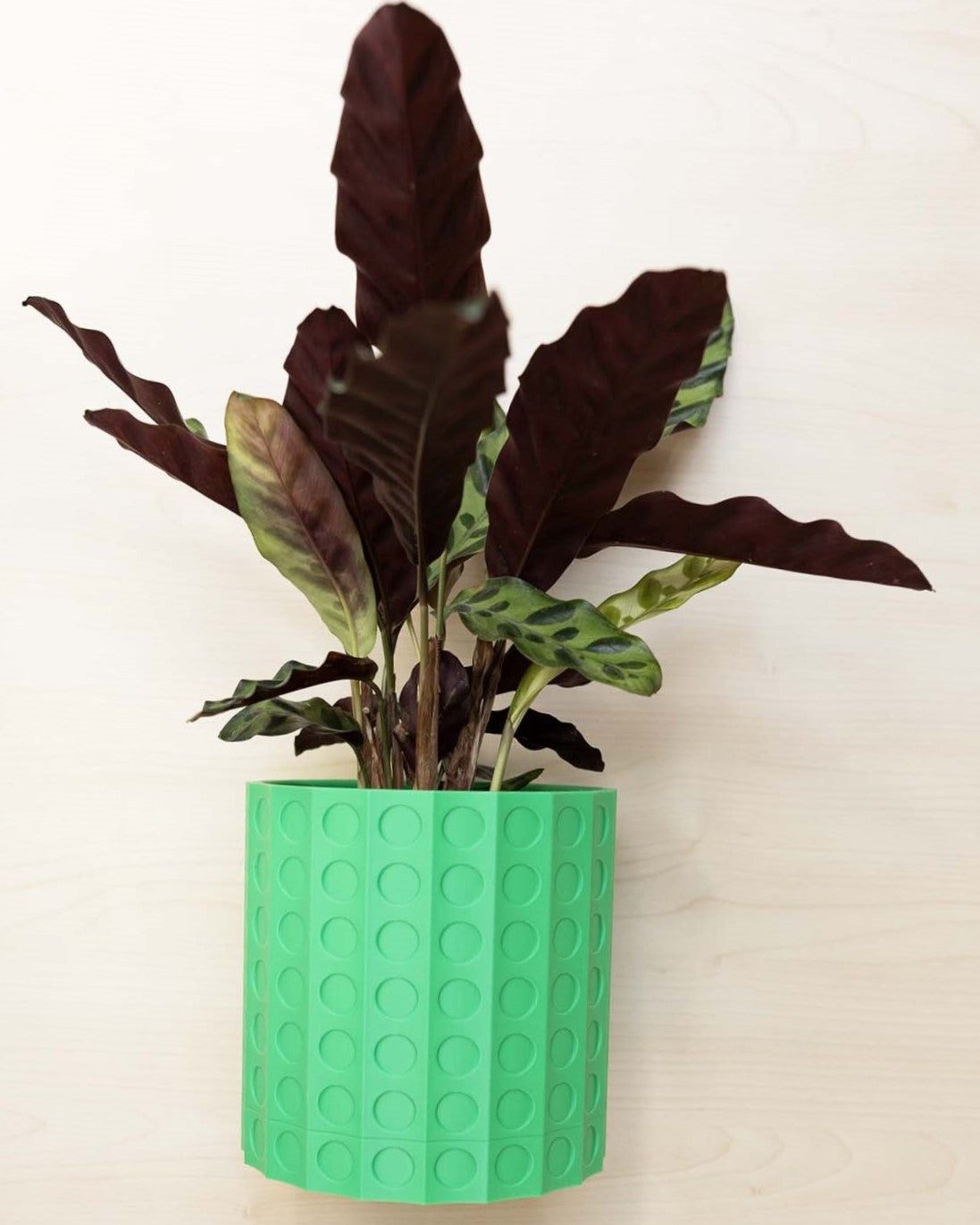 Wall Planter - 3D Printed: The Heywood