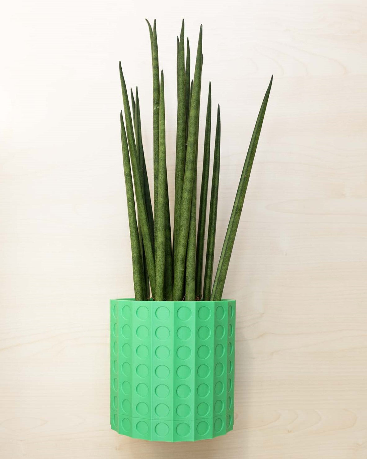 Wall Planter - 3D Printed: The Heywood