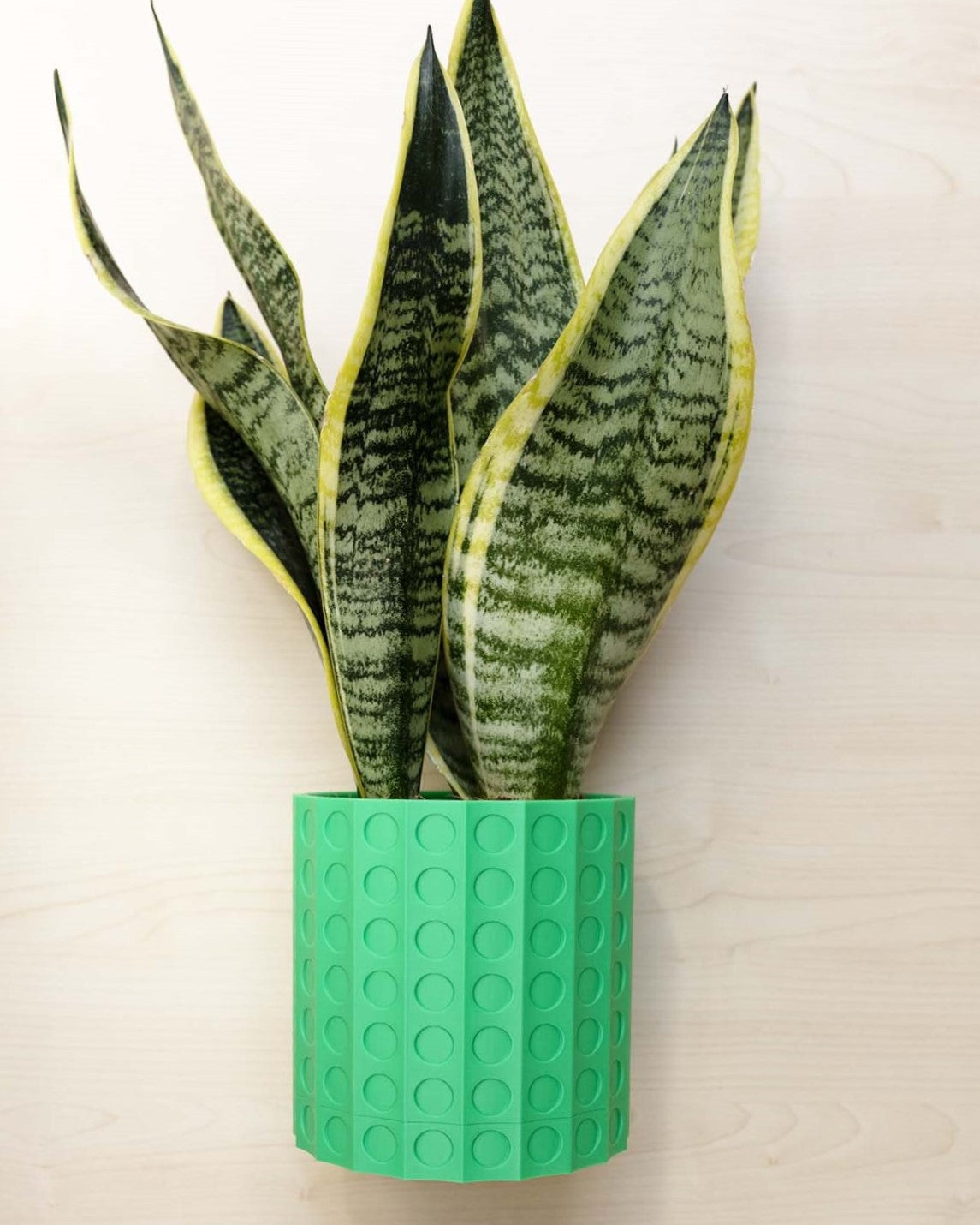 Wall Planter - 3D Printed: The Heywood