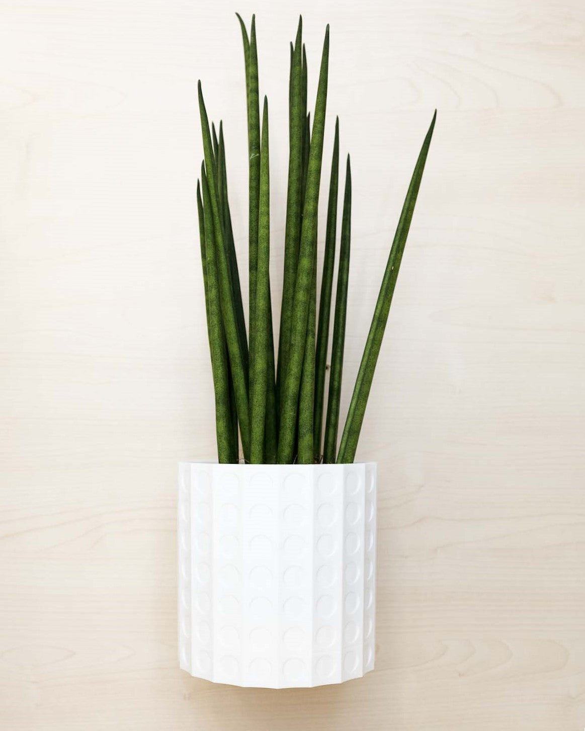 Wall Planter - 3D Printed: The Heywood