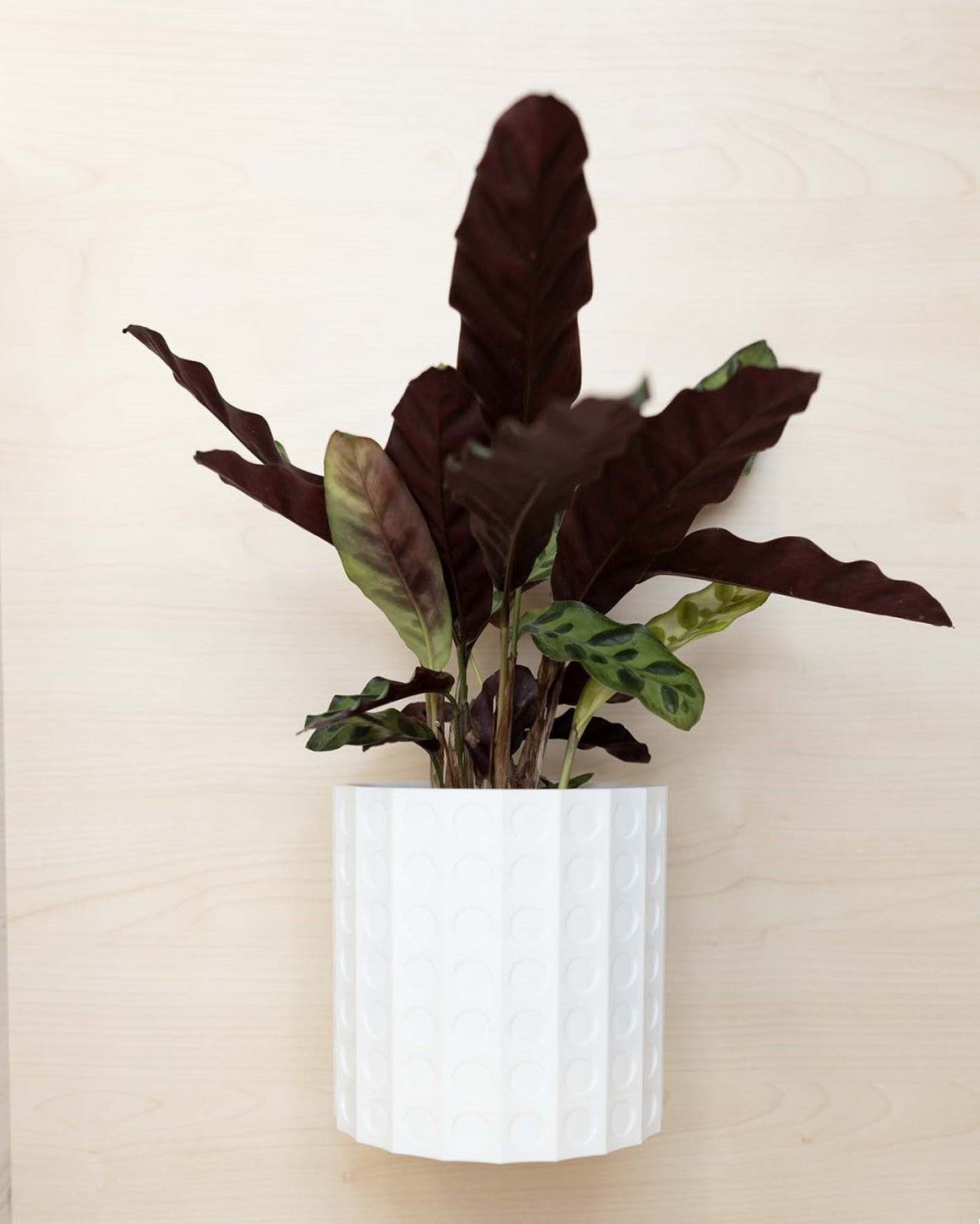Wall Planter - 3D Printed: The Heywood