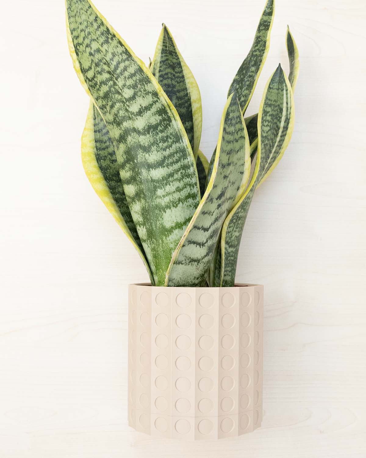 Wall Planter - 3D Printed: The Heywood