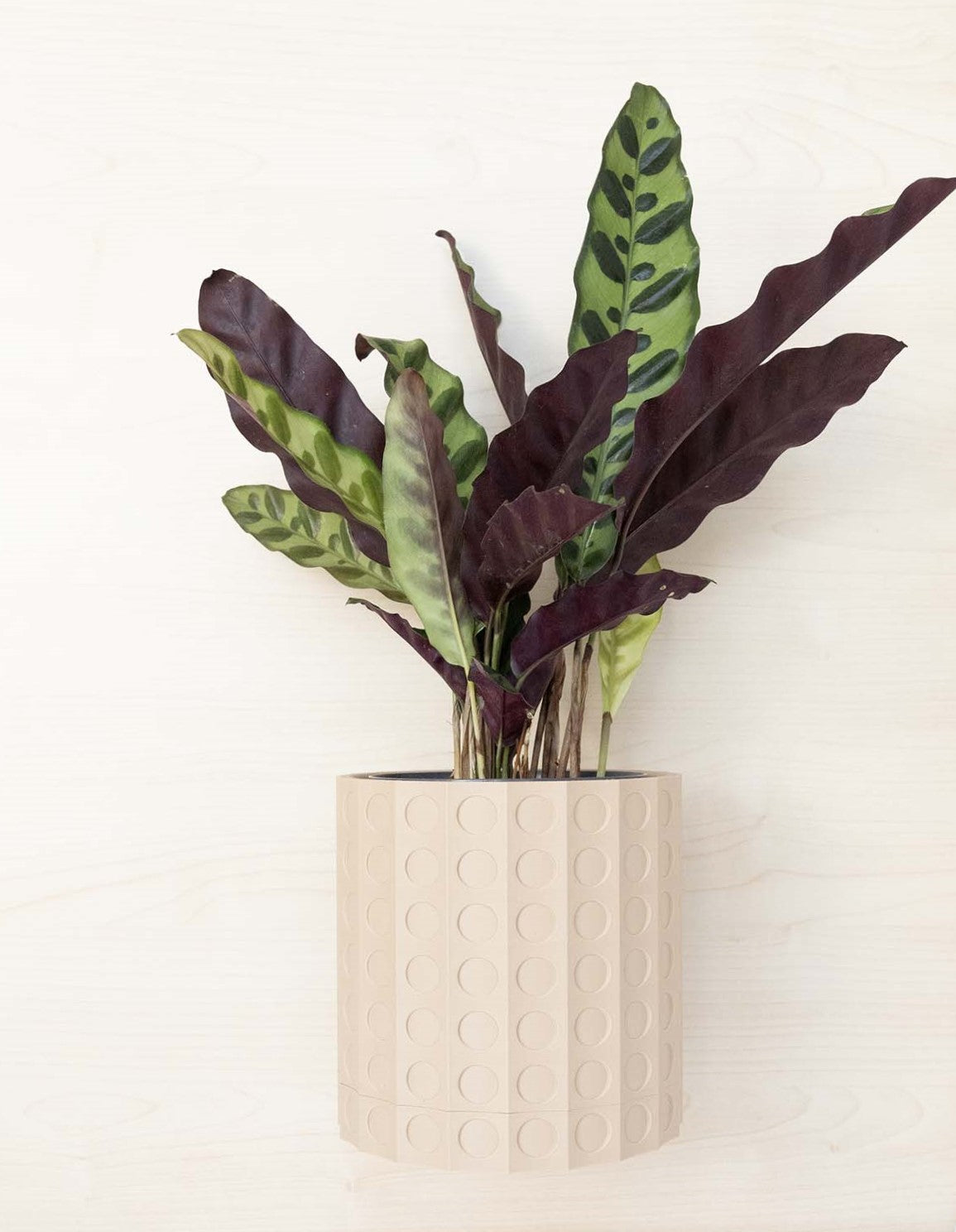 Wall Planter - 3D Printed: The Heywood