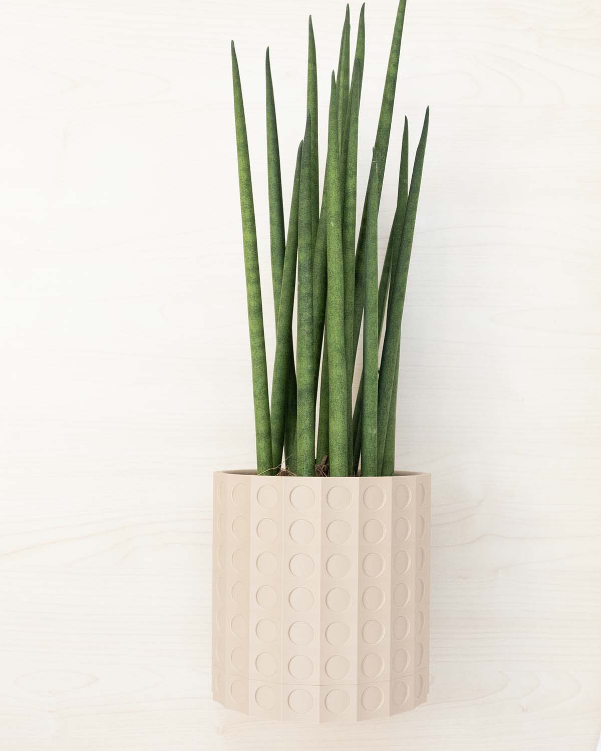 Wall Planter - 3D Printed: The Heywood
