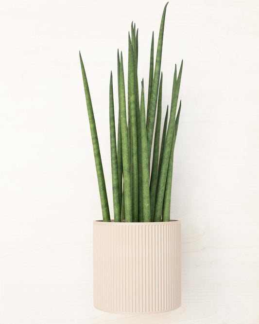 Wall Planter - 3D Printed: The Heywood