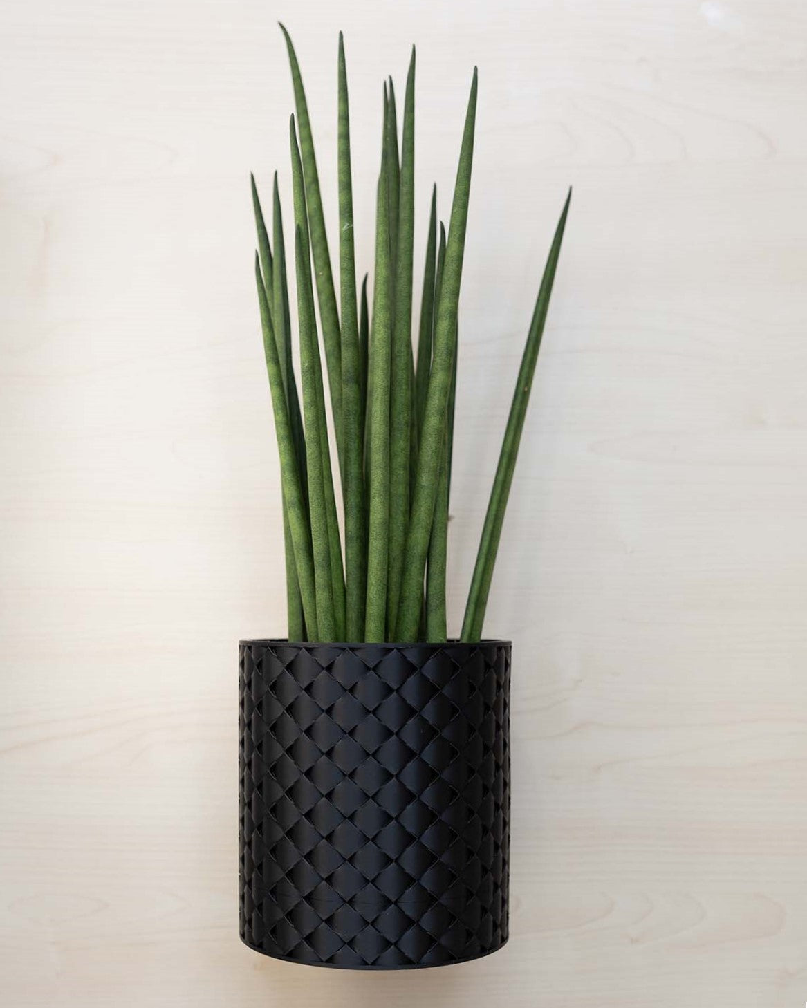 Blumentopf 3D, Gestepptes Design