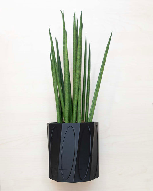 Wall Planter With Hidden Drip Tray
