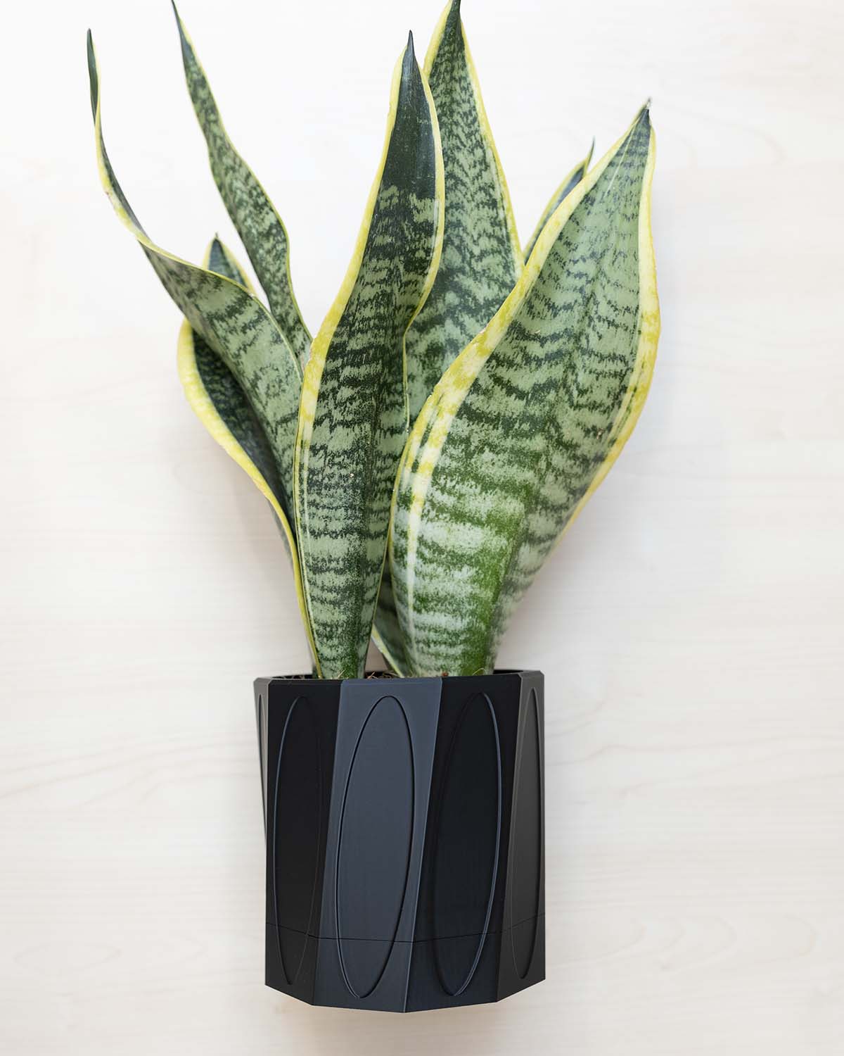 Wall Planter With Hidden Drip Tray