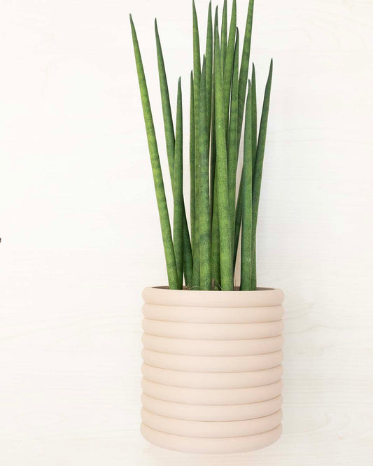Wall Planter With Hidden Drain Tray